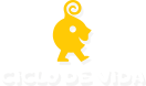 Logotipo Ciclo de Vida